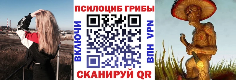 Галлюциногенные грибы прущие грибы  где найти   Баймак 